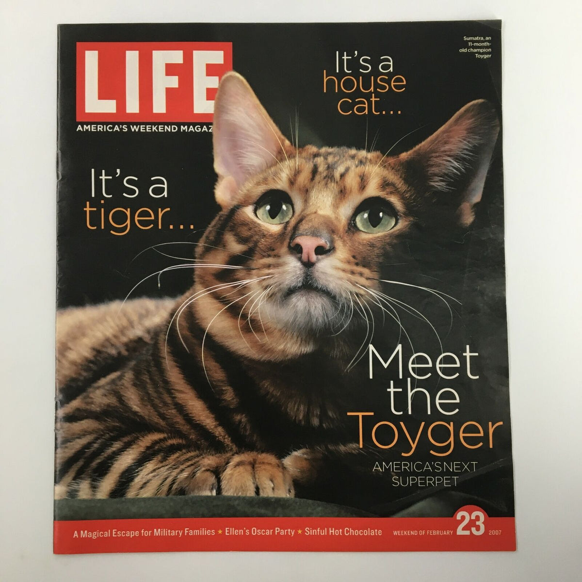 Life Magazine insert featuring Sumatra the Toyger, February 23, 2007, showcasing the Toyger breed known for its wild cat appearance and charm.