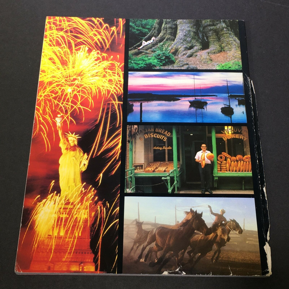 Back cover of the vintage 1990 issue of Life Magazine titled 'Looks At America The Beautiful', showcasing vibrant images of American landmarks and scenery.