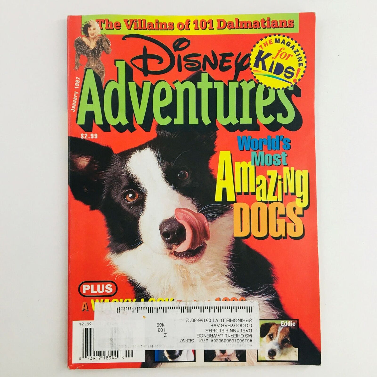 Cover of Disney Adventures Magazine January 1997 featuring the theme 'World's Most Amazing Dogs'. The magazine highlights a playful dog on its vibrant red cover, appealing to children and dog lovers alike.