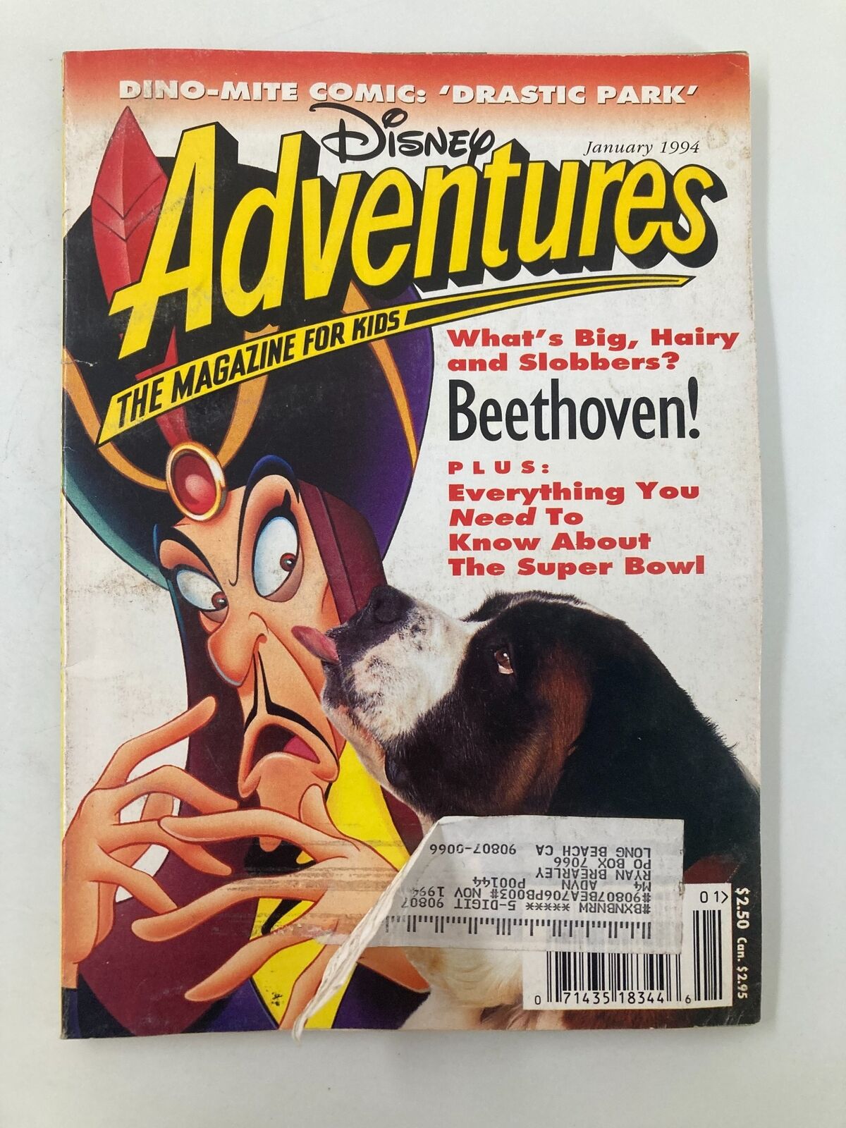 Cover of the Disney Adventures Magazine January 1994 featuring an illustration of a dog and a character from Disney, with headlines about Beethoven and pet tricks.