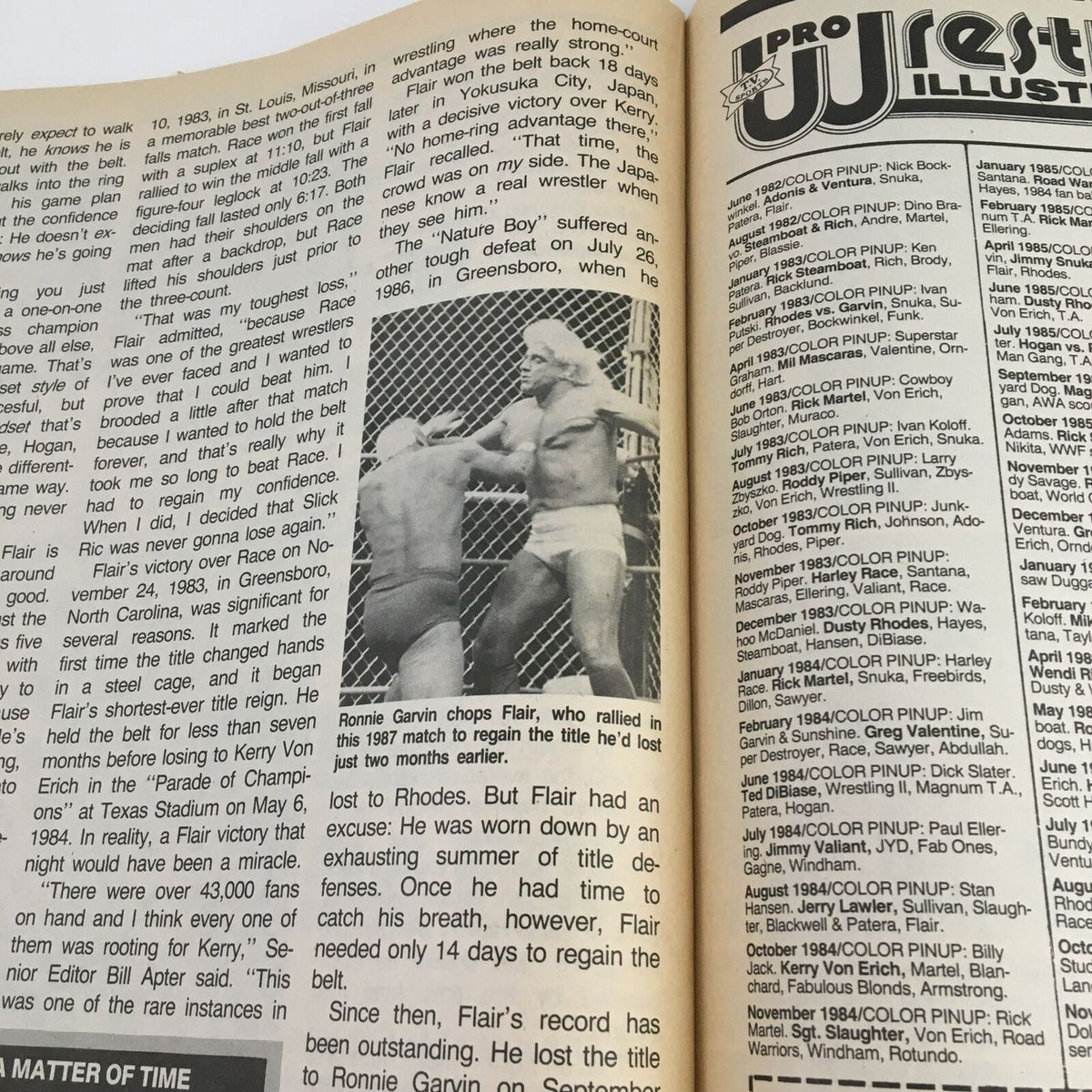An article excerpt from The Wrestler Magazine June 1989, highlighting wrestling history with a focus on Ric Flair and Ronnie Garvin's championship matches. Perfect for vintage wrestling memorabilia collectors.