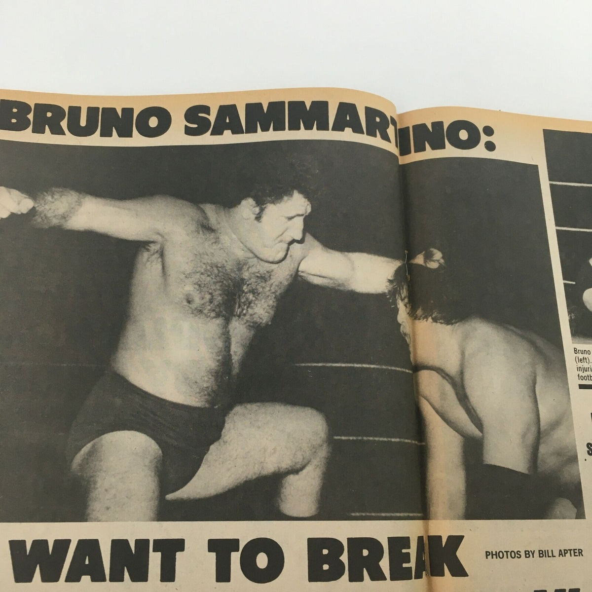 Inside page of The Wrestler Magazine June 1981, showcasing an article about Bruno Sammartino. Headline reads: 'I WANT TO BREAK STAN HANSEN'S NECK!', illustrating the intensity of wrestling rivalries.