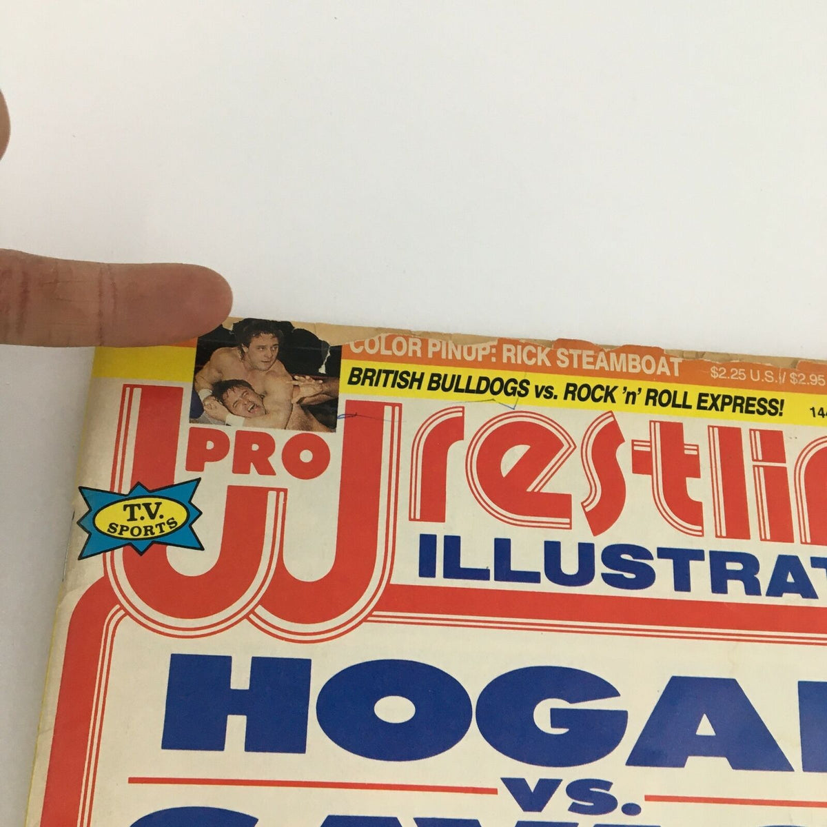 Close-up of Pro Wrestling Illustrated Magazine June 1989 cover highlighting a color pinup of Rick Steamboat, alongside the feature of British Bulldogs vs Rock 'n' Roll Express.