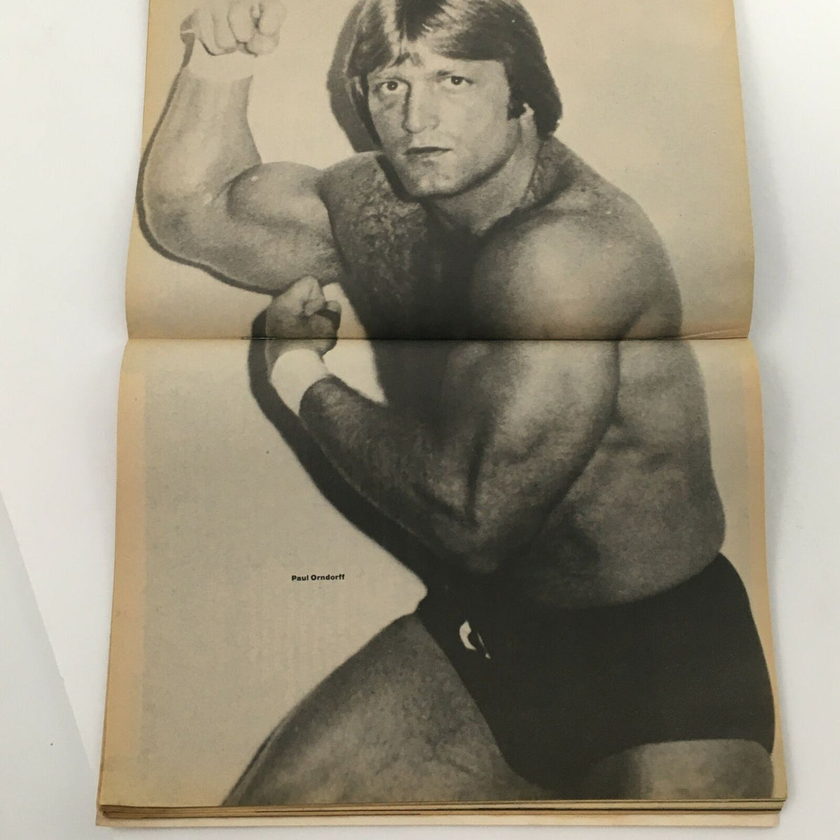 Wrestling Today Magazine January 1981 image of wrestler Paul Orndorff posing in the ring, emphasizing his strong physique.