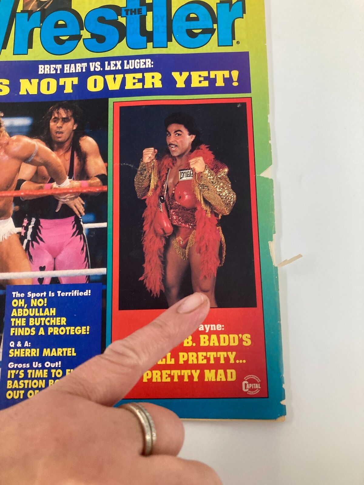 Cover of The Wrestler Magazine, November 1993, featuring Bret Hart vs Lex Luger, with an image of a colorful wrestler in costume highlighting the vintage wrestling culture.