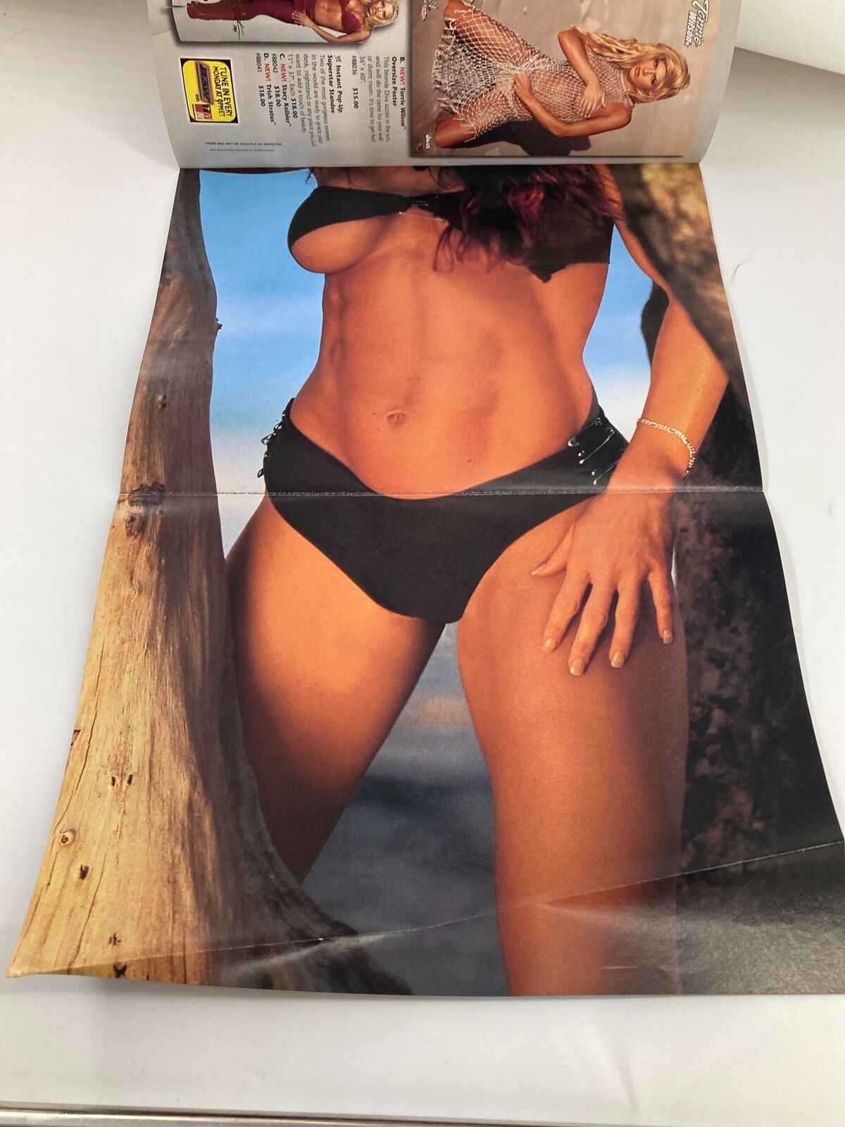 Fold-out poster from WWE Raw Magazine October 2002 displaying a model in a bikini, emphasizing the magazine's collectible nature.