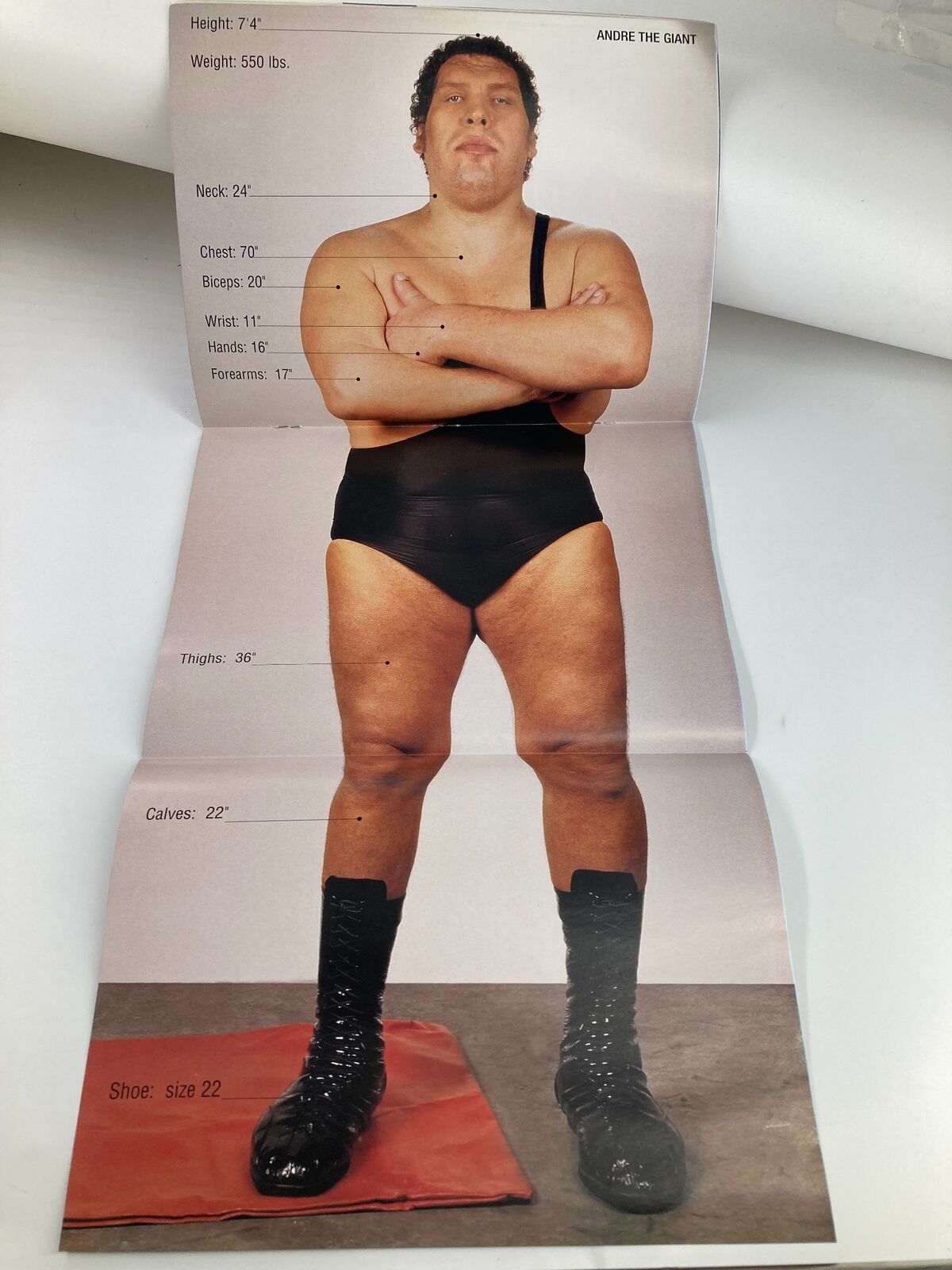 Fold-out poster of Andre The Giant from WWE Raw Magazine, displaying his height, weight, and measurements alongside a description of his wrestling persona.