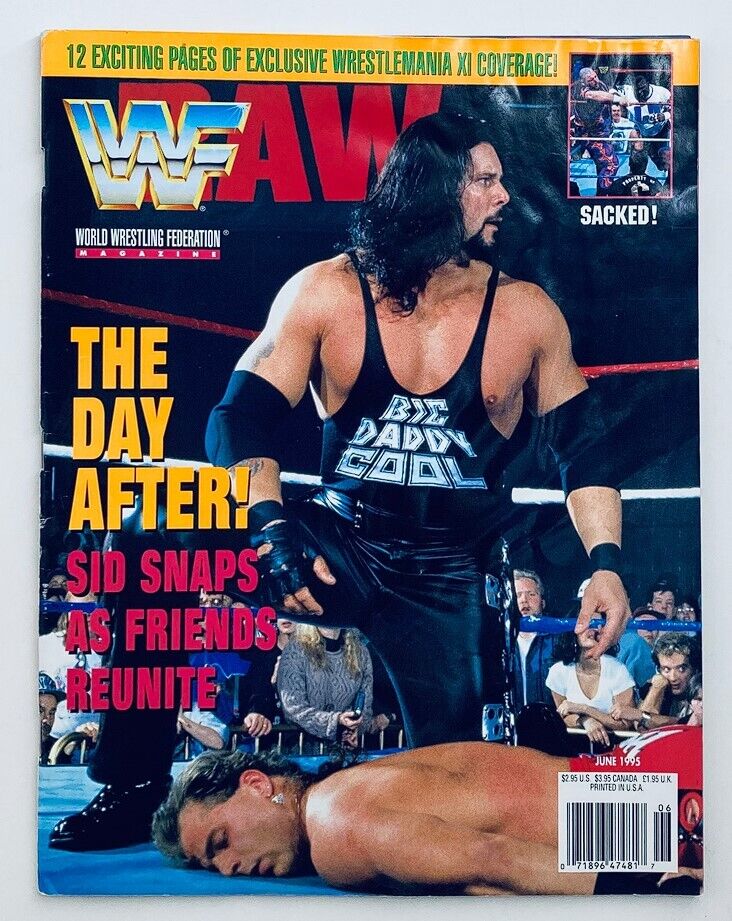 Cover of WWF World Wrestling Federation Magazine June 1995 featuring Sid in action, titled 'The Day After!' highlighting the aftermath of an intense wrestling match.