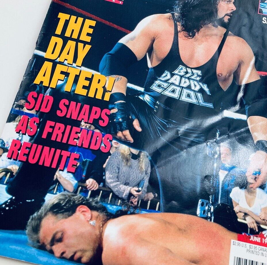Close-up of the WWF World Wrestling Federation Magazine June 1995 cover, showcasing Sid and the title 'The Day After!' about wrestling rivalries.