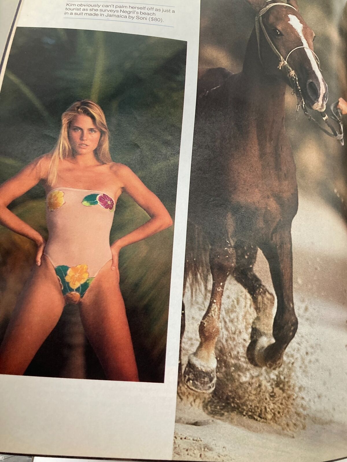 An editorial spread in the February 14, 1983 Sports Illustrated showcasing a model in a floral swimsuit alongside a horse, highlighting the theme of summer and fashion.