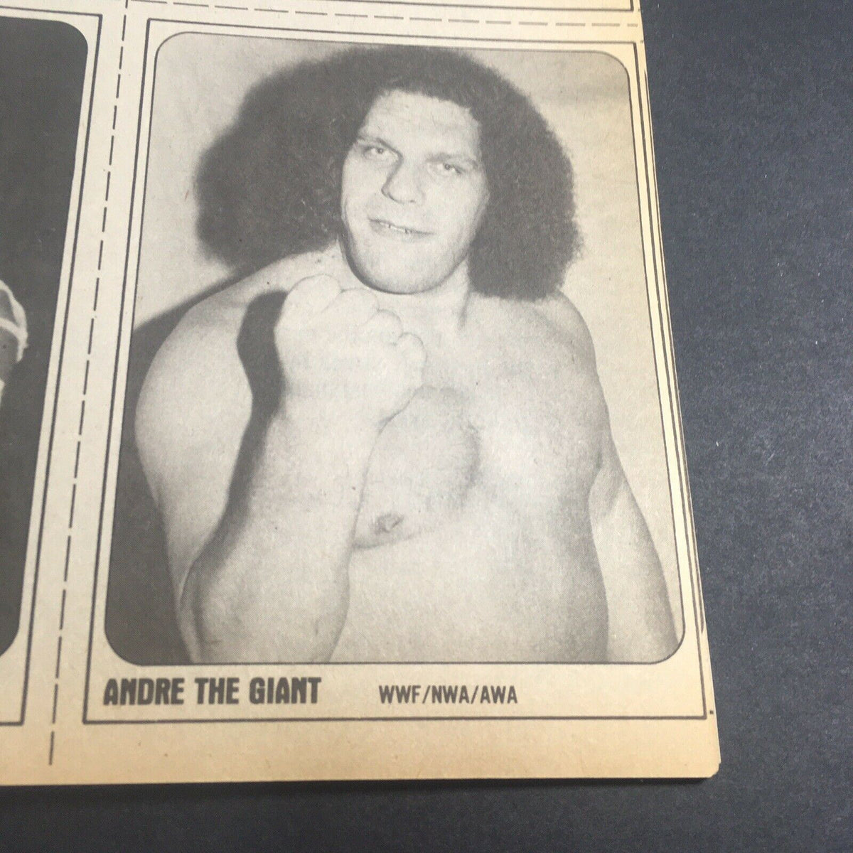VTG Wrestling Superstars Magazine Summer 1981 featuring a photograph of Andre The Giant showcasing his signature pose.