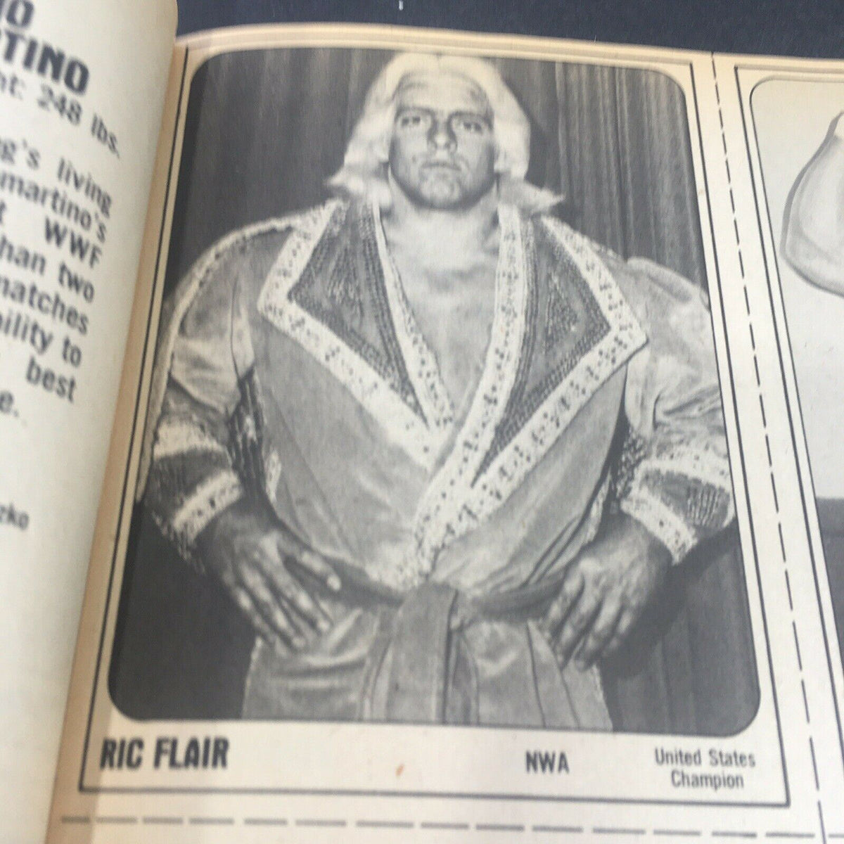 VTG Wrestling Superstars Magazine Summer 1981 displaying a portrait of Ric Flair, known for his impressive wrestling career in NWA.