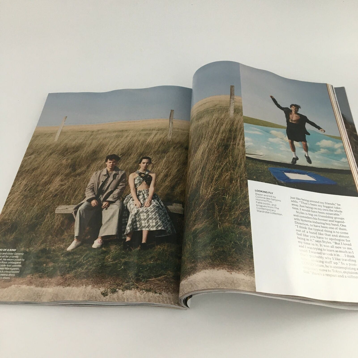 Vogue Magazine December 2020 Harry Styles in Playtime Cover Feature, depicting a captivating scene with two models seated on a bench in an open landscape.
