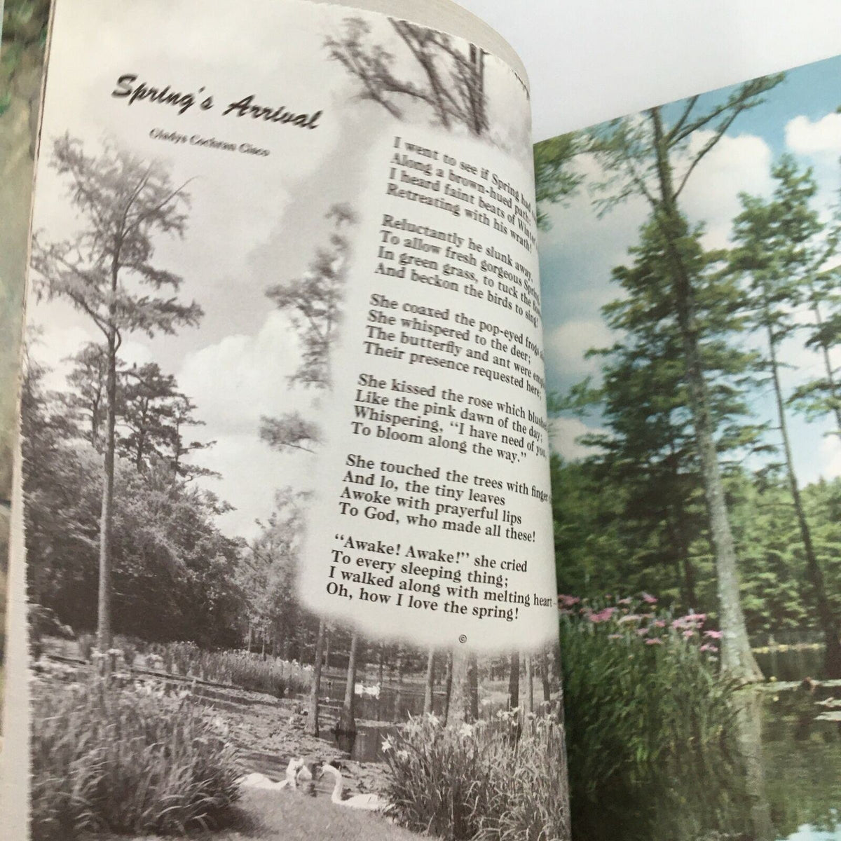 Page from Ideals Vol. 17 No. 1 March 1960 Easter Issue featuring a poem titled 'Spring's Arrival' alongside a nature illustration.