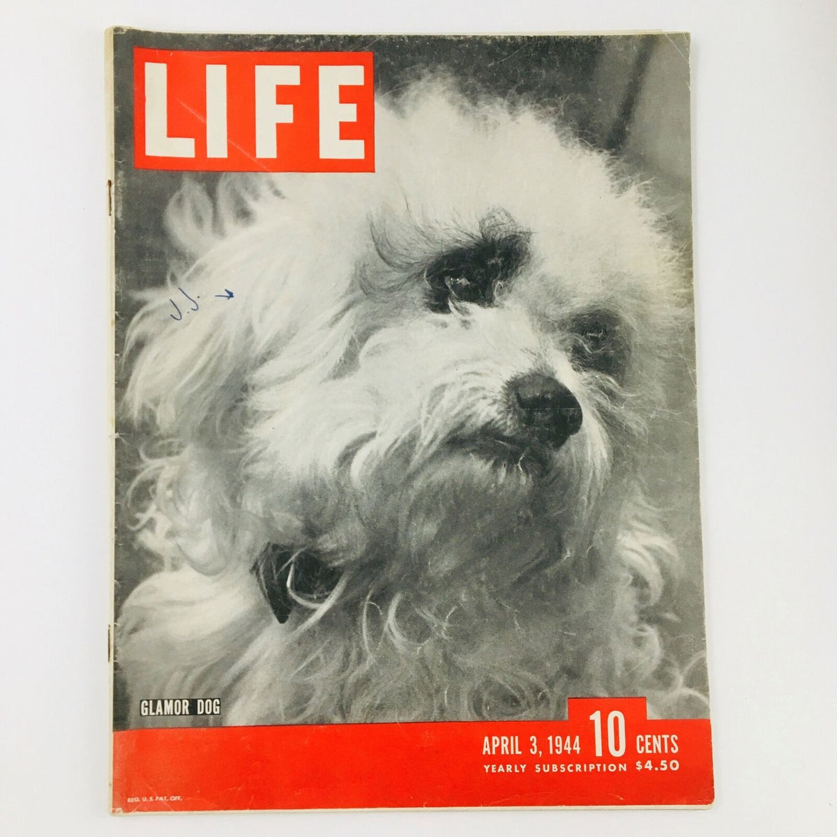 VTG Life Magazine April 3 1944 Glamor Dog Feature showcasing a fluffy white dog on the cover, emphasizing mid-20th century canine elegance.