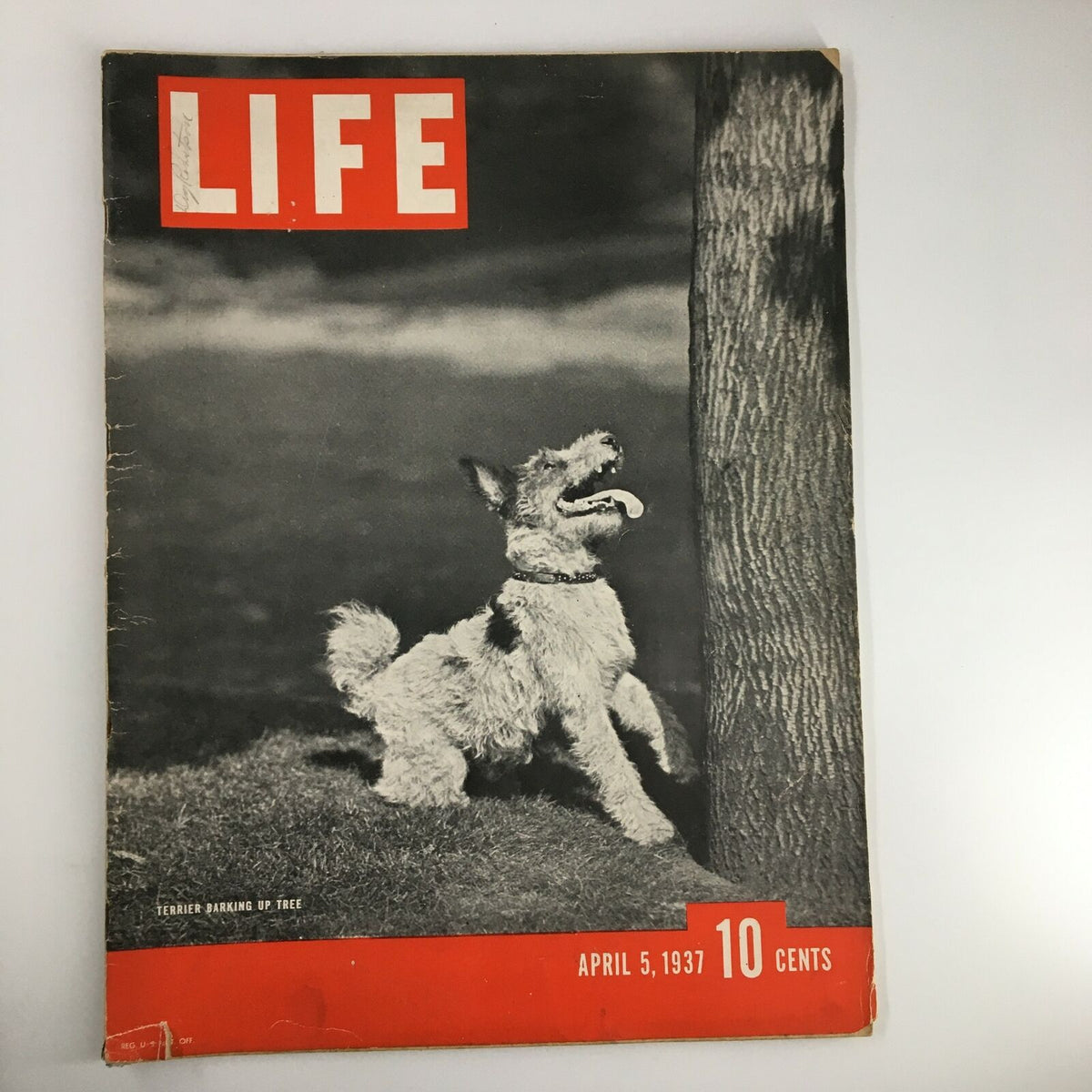 Cover of VTG Life Magazine April 5 1937 featuring a terrier dog barking up a tree, showcasing vintage illustrations and magazine details.