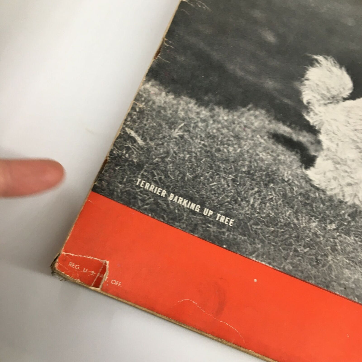 Detail of the bottom section of VTG Life Magazine April 5 1937 cover, featuring the phrase 'Terrier Barking Up Tree' with vintage magazine design.