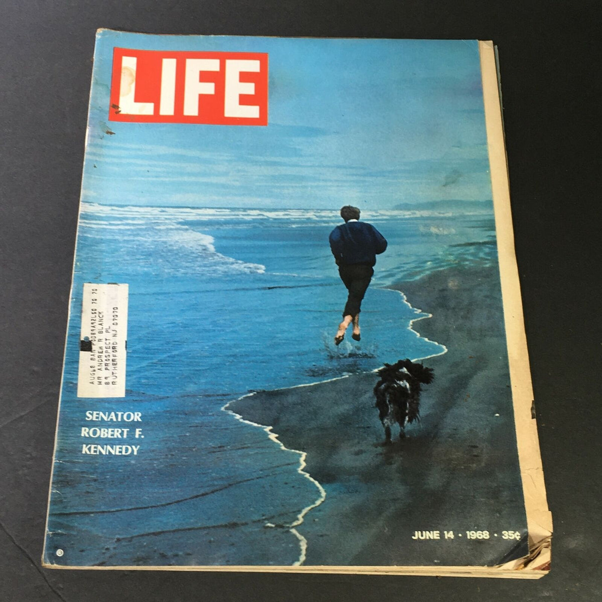 Cover of VTG Life Magazine from June 14, 1968 featuring Senator Robert F. Kennedy walking along the beach with a dog.