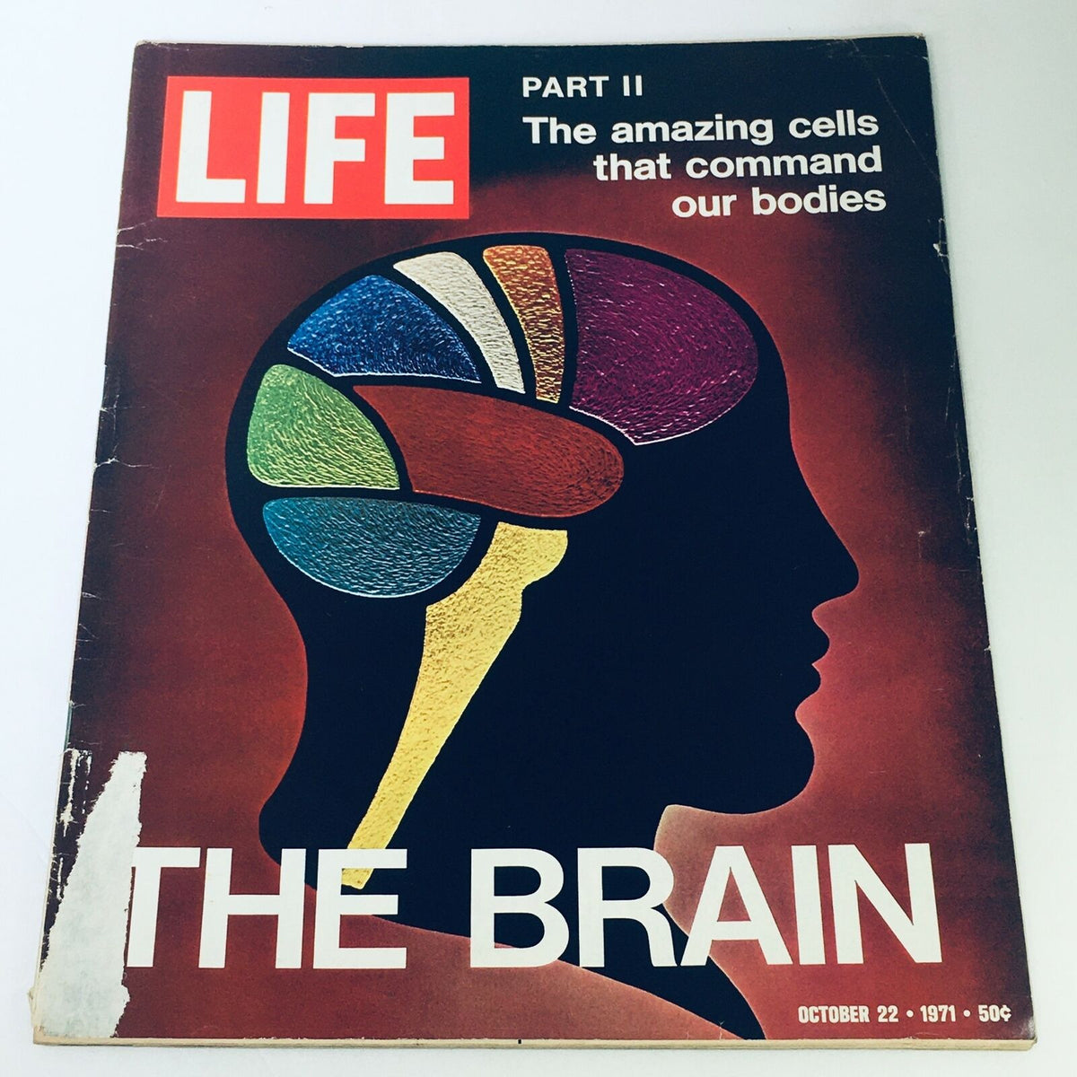 Cover of VTG Life Magazine December 22 1971, titled 'Part II The Amazing Cells That Command Our Bodies,' featuring a colorful illustration of a brain profile.