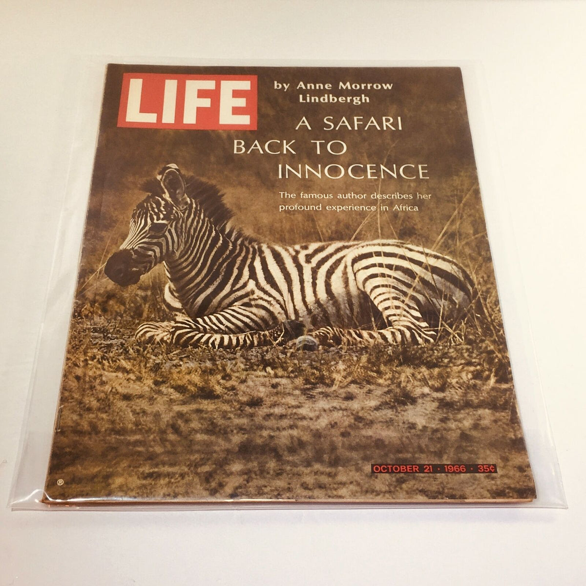 Cover of VTG Life Magazine from October 21, 1966, featuring an image of a zebra and the title 'A Safari Back To Innocence' by Anne M. L. This vintage magazine captures the essence of adventure and history.