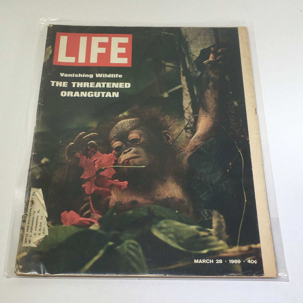 Cover image of VTG Life Magazine dated March 28, 1969, featuring the article 'Vanishing Wildlife: The Threatened Orangutan', depicting an orangutan amidst vibrant flowers.
