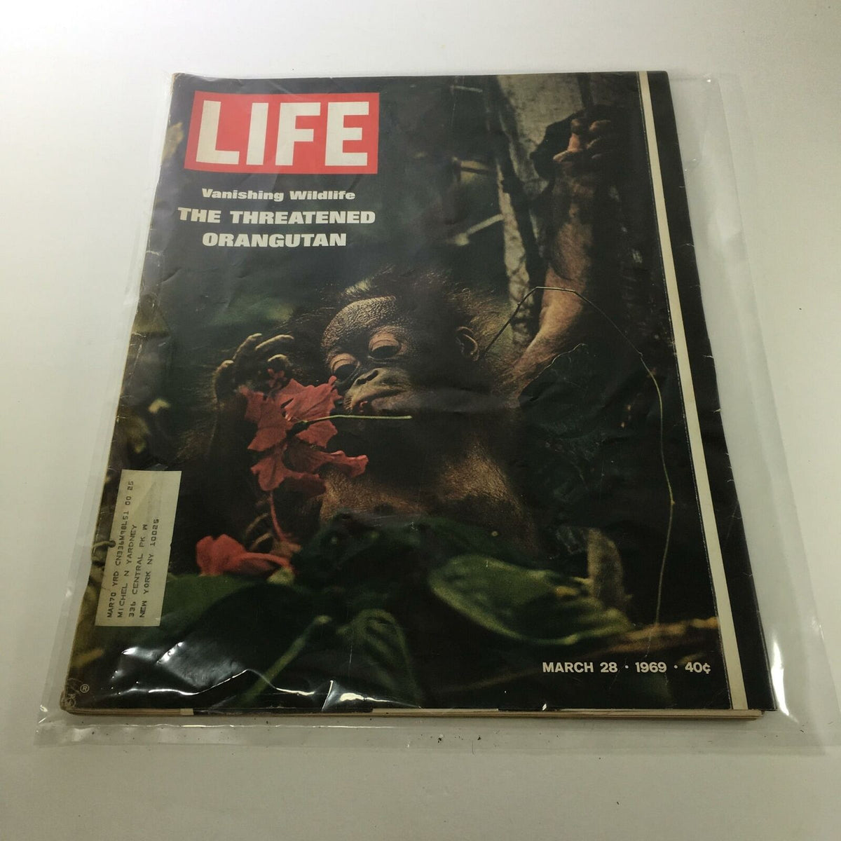 Cover of Life Magazine from March 28, 1969 featuring the title 'Vanishing Wildlife: The Threatened Orangutan', showcasing an orangutan among flowers, highlighting wildlife conservation.