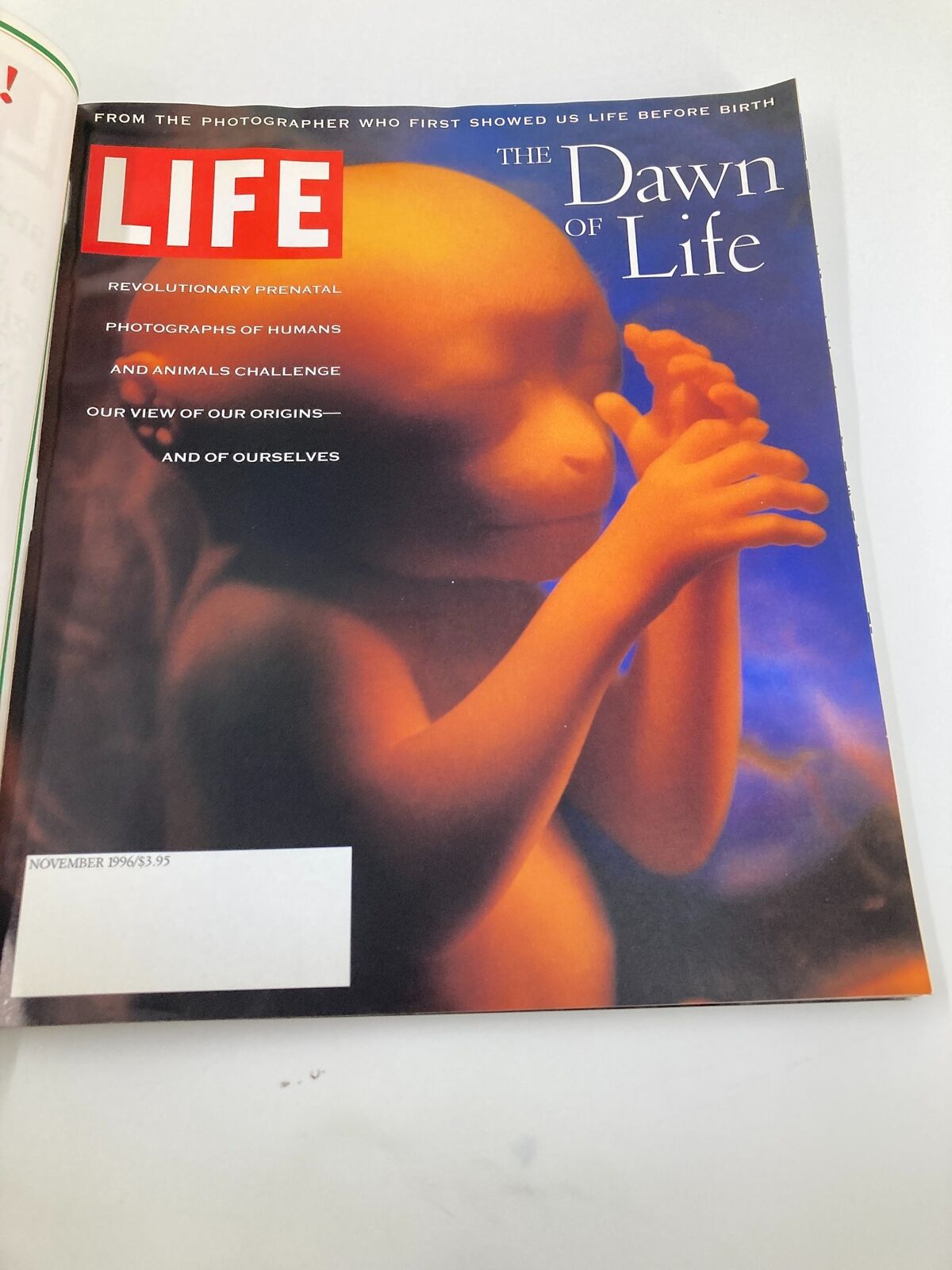 Cover of Life Magazine November 1996 titled 'Revolutionary Prenatal: The Dawn of Life' featuring a striking image of a developing fetus, highlighting prenatal care advancements.