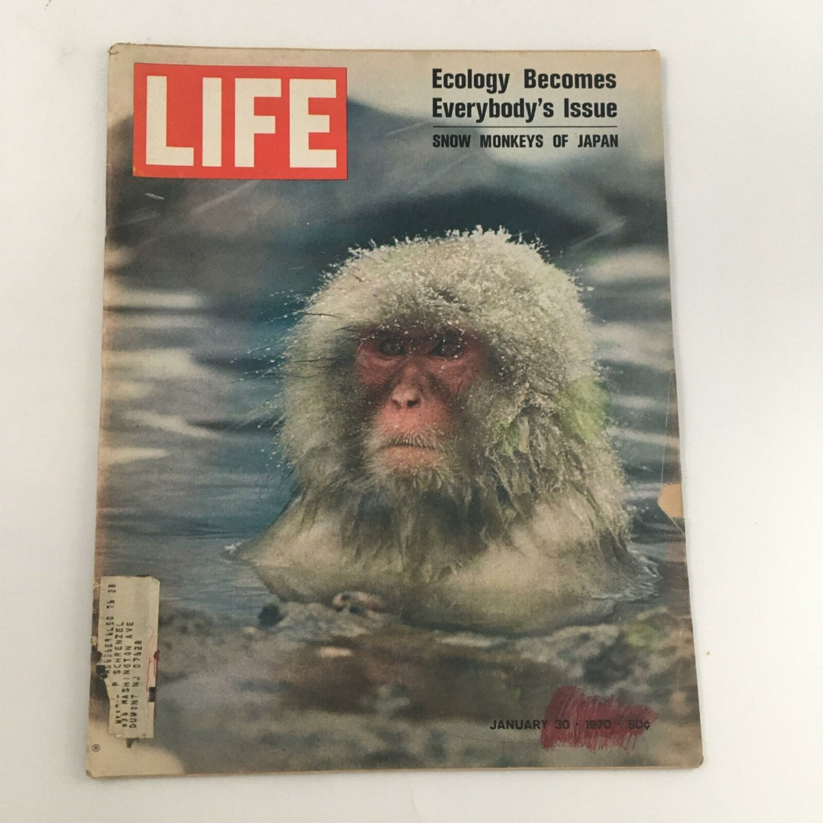 Cover of VTG Life Magazine from January 30, 1970 featuring a Snow Monkey of Japan, showcasing captivating wildlife photography.