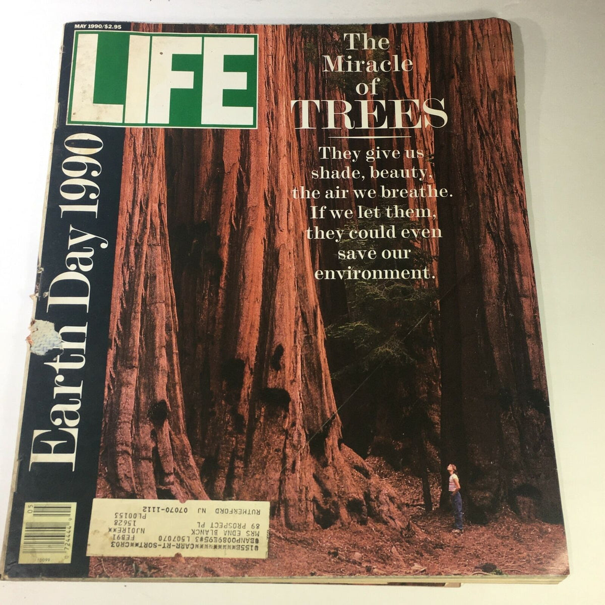 Cover of VTG Life Magazine May 1990 featuring 'The Miracle of Trees' and 'Earth Day 1990'. The cover displays majestic trees with a small figure looking up, highlighting the environmental theme.