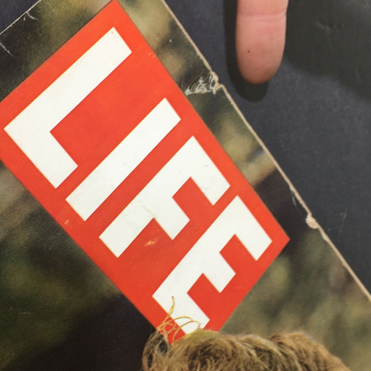 Close-up of the iconic 'LIFE' magazine logo from the VTG Life Magazine January 22 1965 edition featuring Peter O'Toole as Lord Jim in the Far East.