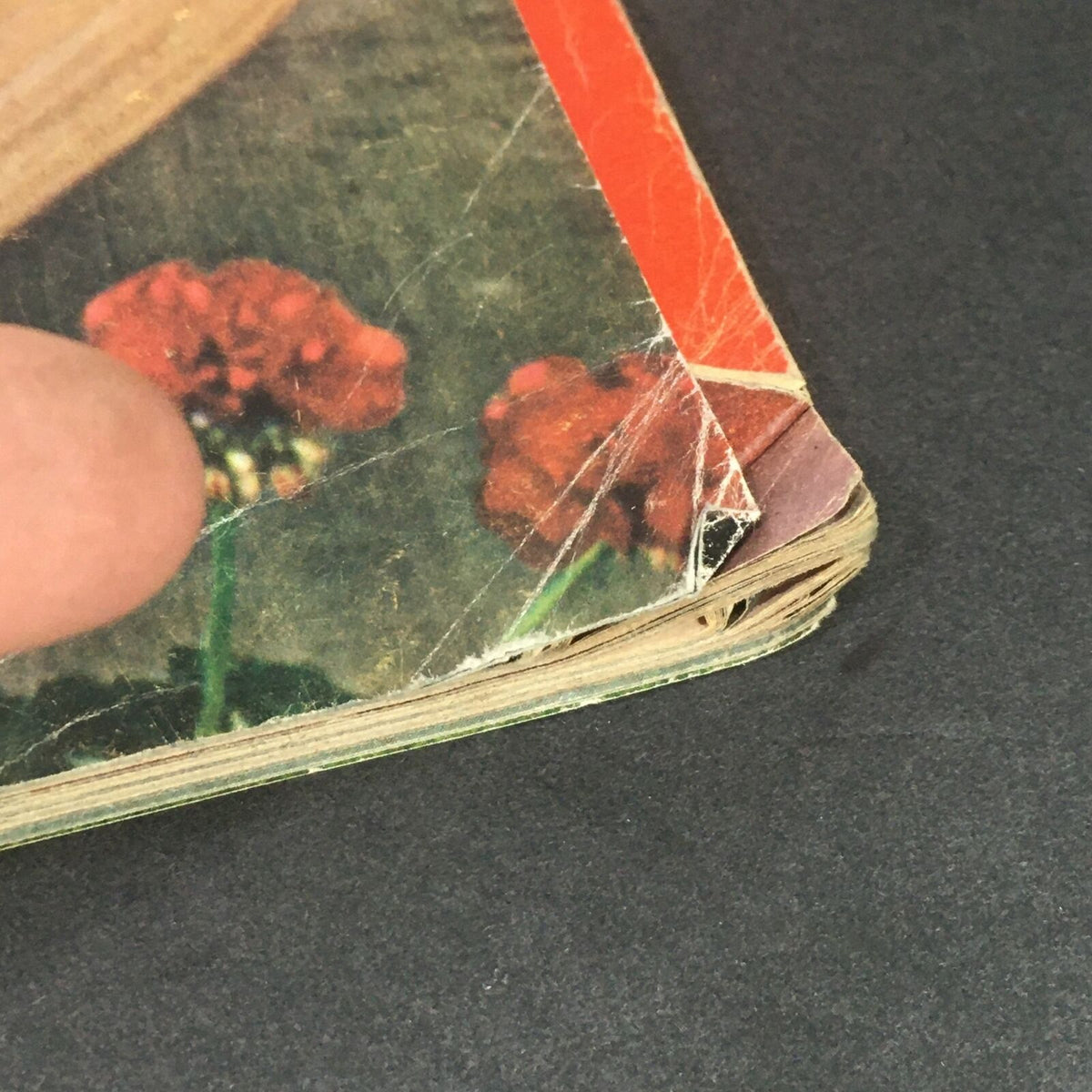 Detailed view of the edge of the October 1983 Life Magazine, highlighting wear and tear, including creases and frayed corners.