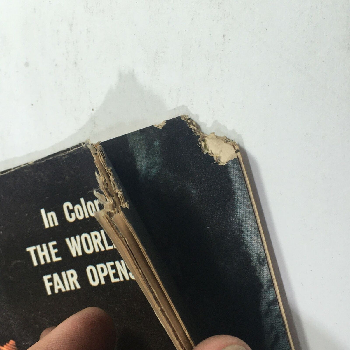 Close-up of the damaged edge of the VTG Life Magazine from May 1, 1964, highlighting signs of wear and tear while retaining the title 'In Color - The World's Fair Opens'.