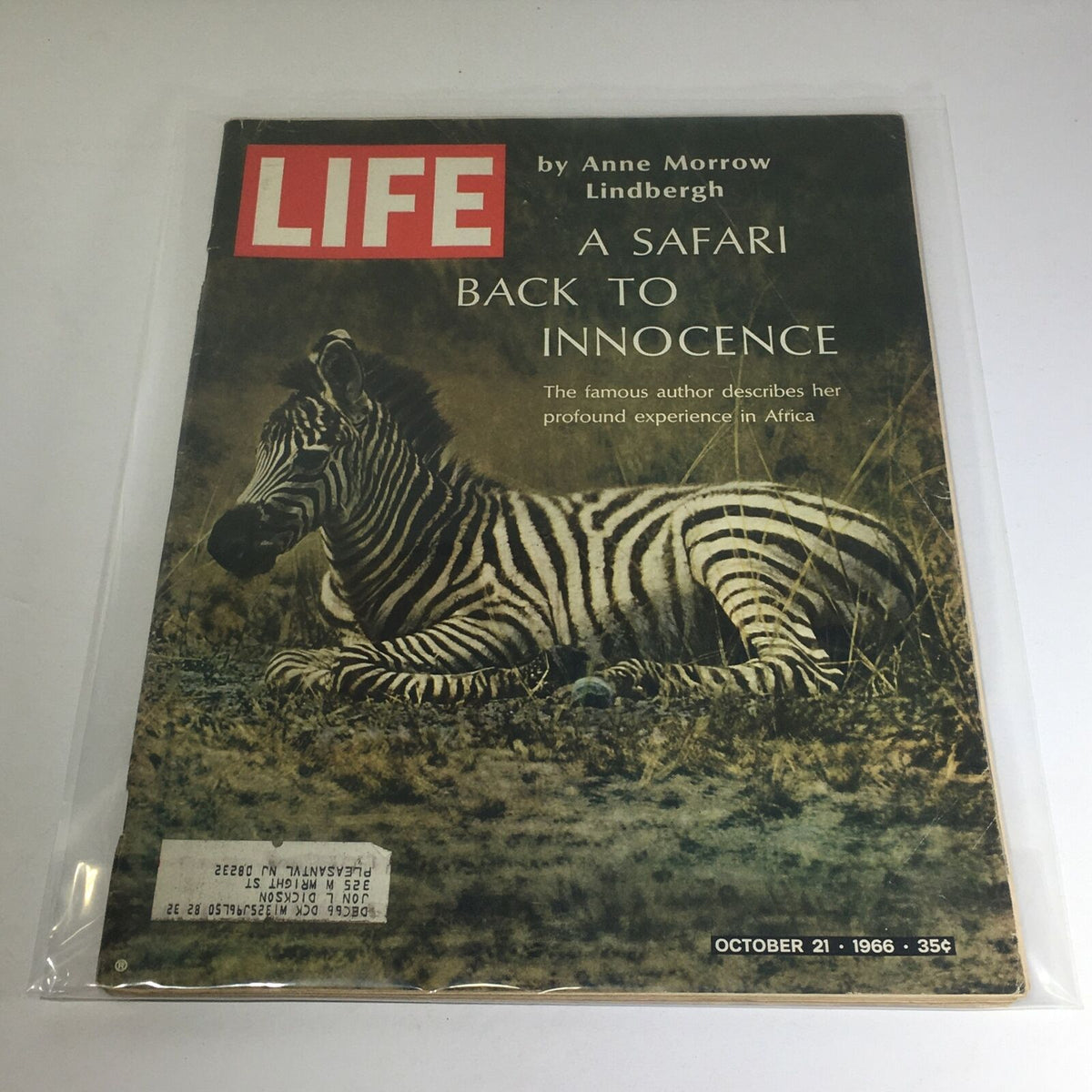 Vintage Life Magazine cover from October 21, 1966, featuring an article by Anne Morrow Lindbergh titled 'A Safari Back to Innocence.' The cover showcases a striking image of a zebra and highlights Lindbergh's profound experiences in Africa.