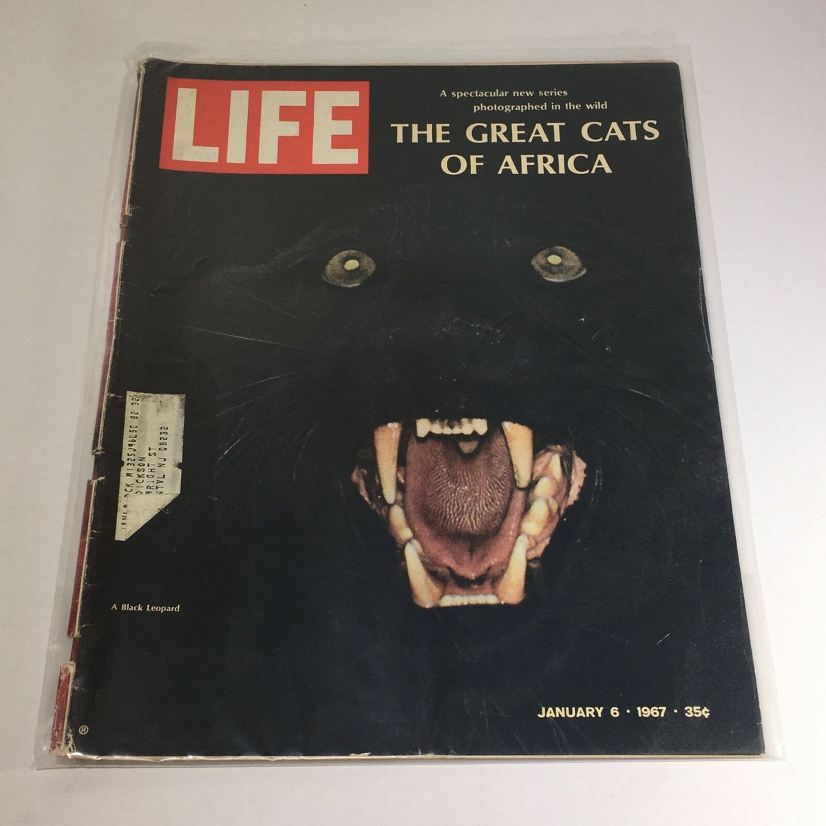 Cover of VTG Life Magazine: January 6 1967 featuring a Black Leopard and the headline 'The Great Cats of Africa', showcasing the magazine's vintage design and stunning imagery.