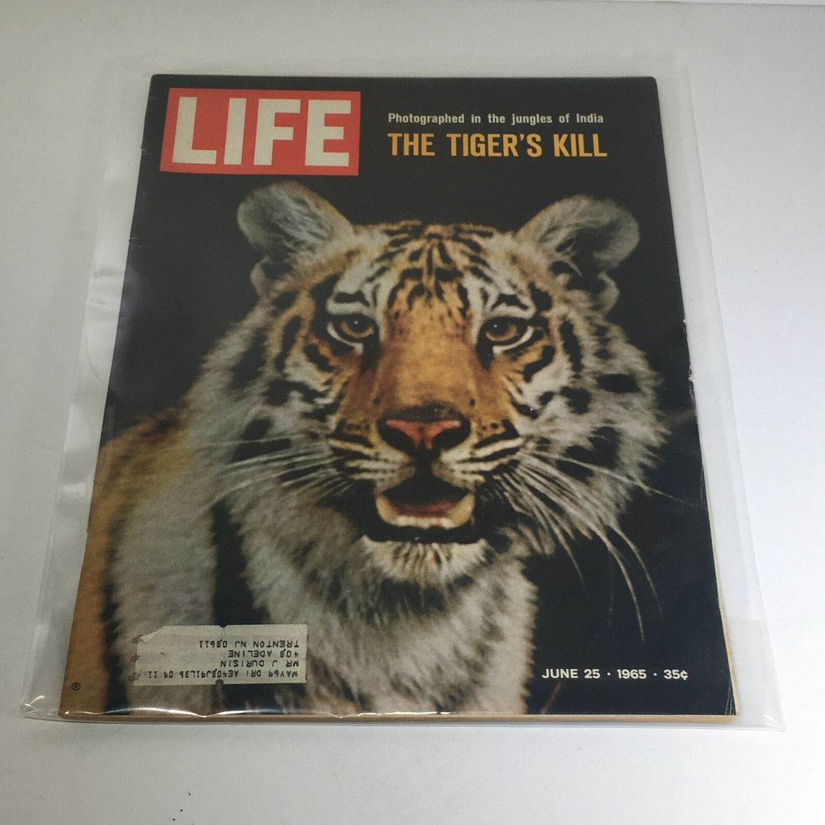 Vintage Life Magazine cover from June 25, 1965, featuring 'The Tiger's Kill in India Jungle.' The cover showcases a close-up photograph of a tiger, highlighting its powerful presence and fierce expression, encapsulating the essence of wildlife photography from the 1960s.