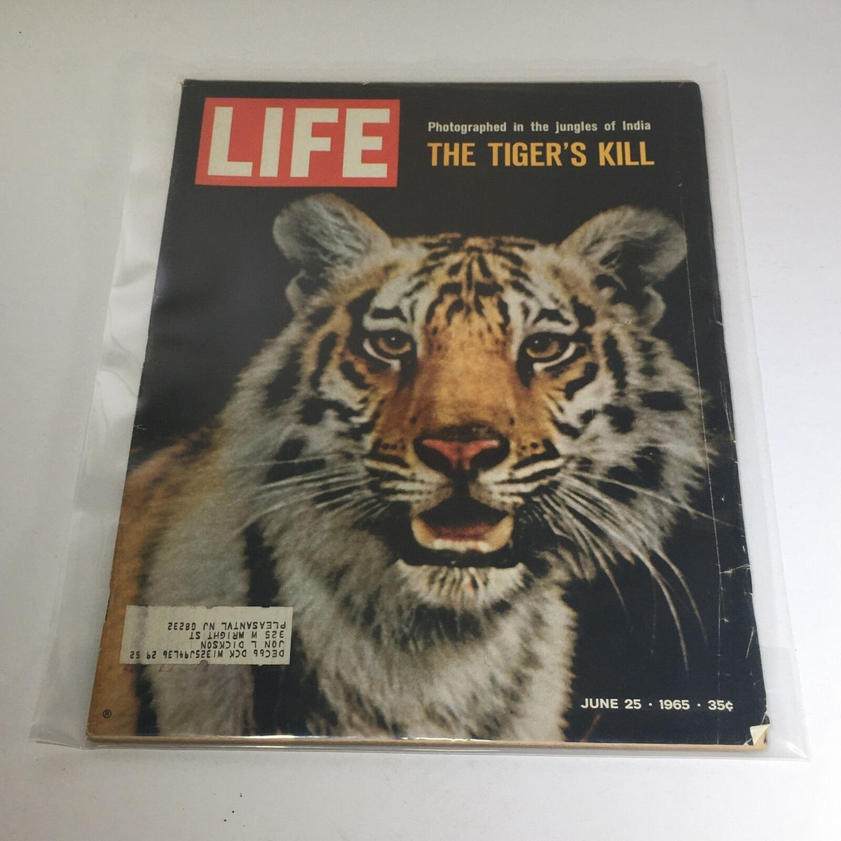 Cover of VTG Life Magazine from June 25, 1965, featuring a detailed photograph of a tiger, showcasing its majesty, with the title 'THE TIGER'S KILL' in bold lettering.
