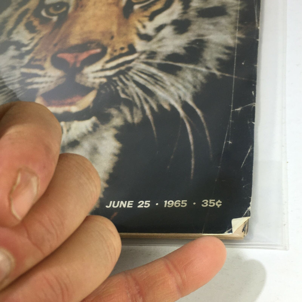 Close-up of the cover page of VTG Life Magazine dated June 25, 1965, displaying the date and price, highlighting the iconic image of a tiger.