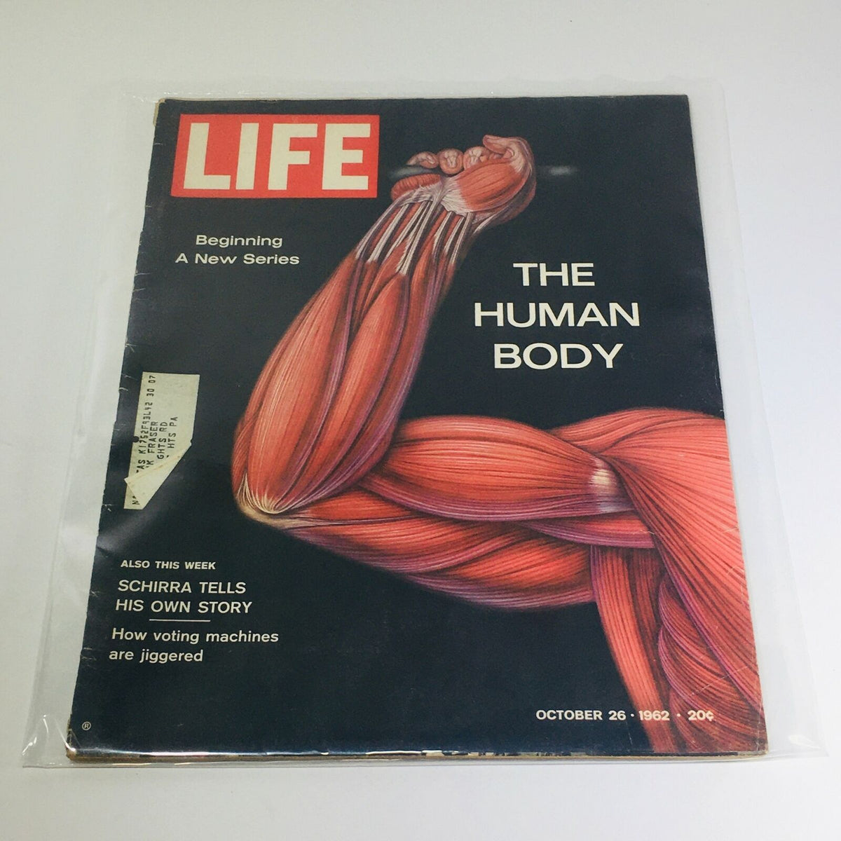 Cover of VTG Life Magazine dated October 26, 1962, featuring a muscular arm illustration with the title 'THE HUMAN BODY' and note on 'Beginning A New Series', highlighting vintage medical art and historical context.