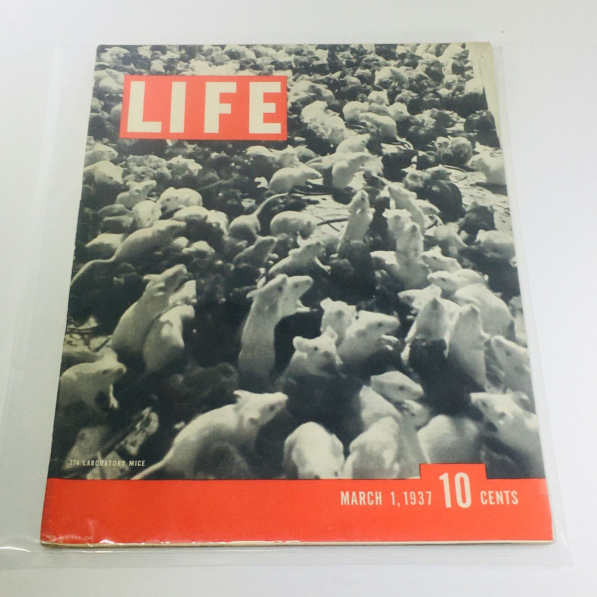 Vintage Life Magazine cover from March 1, 1937 featuring a striking image of '274 Laboratory Mice', showcasing the essence of 1930s vintage publications.