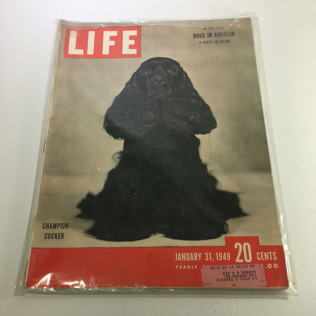VTG Life Magazine January 31 1949 featuring Champion Cocker Spaniel on the cover, highlighting dogs in America with a vintage aesthetic.