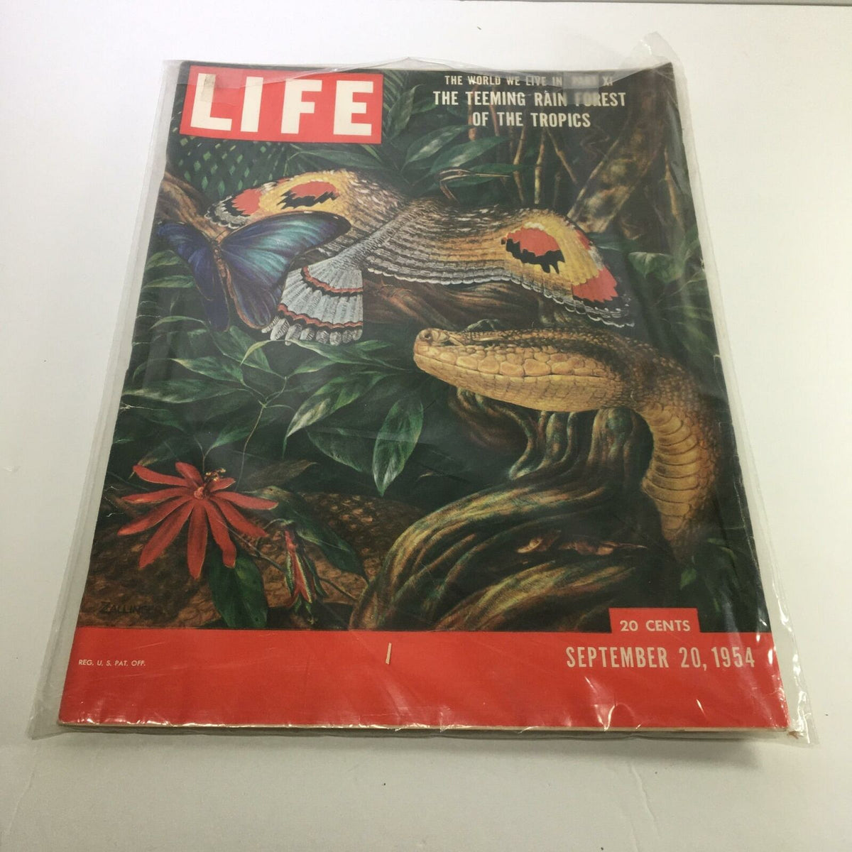 Life Magazine cover from September 20, 1954, featuring 'The Teeming Rain Forest Of The Tropics'. The cover displays vibrant illustrations of tropical flora and fauna, including a butterfly and snakes among lush green leaves.