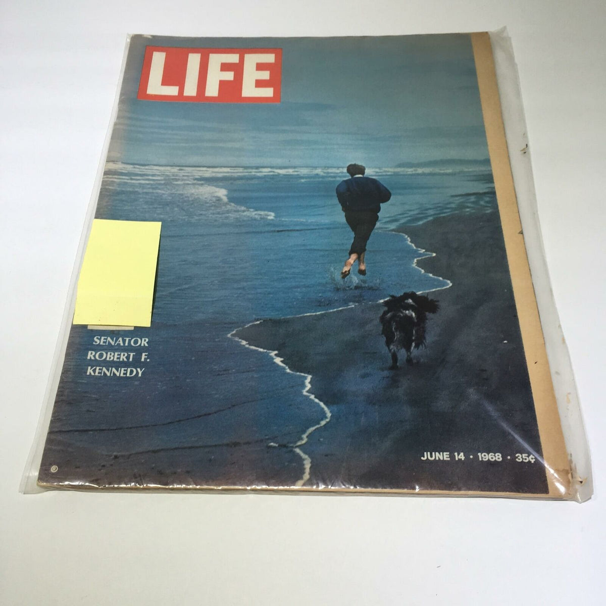 Cover of VTG Life Magazine from June 14, 1968 featuring Senator Robert F. Kennedy, depicting a scenic beach scene with a man running alongside a dog.
