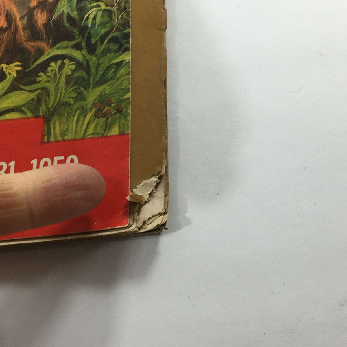 Close-up of the edge of the VTG Life Magazine August 31 1959 cover, showing wear and a torn corner, highlighting its vintage condition.