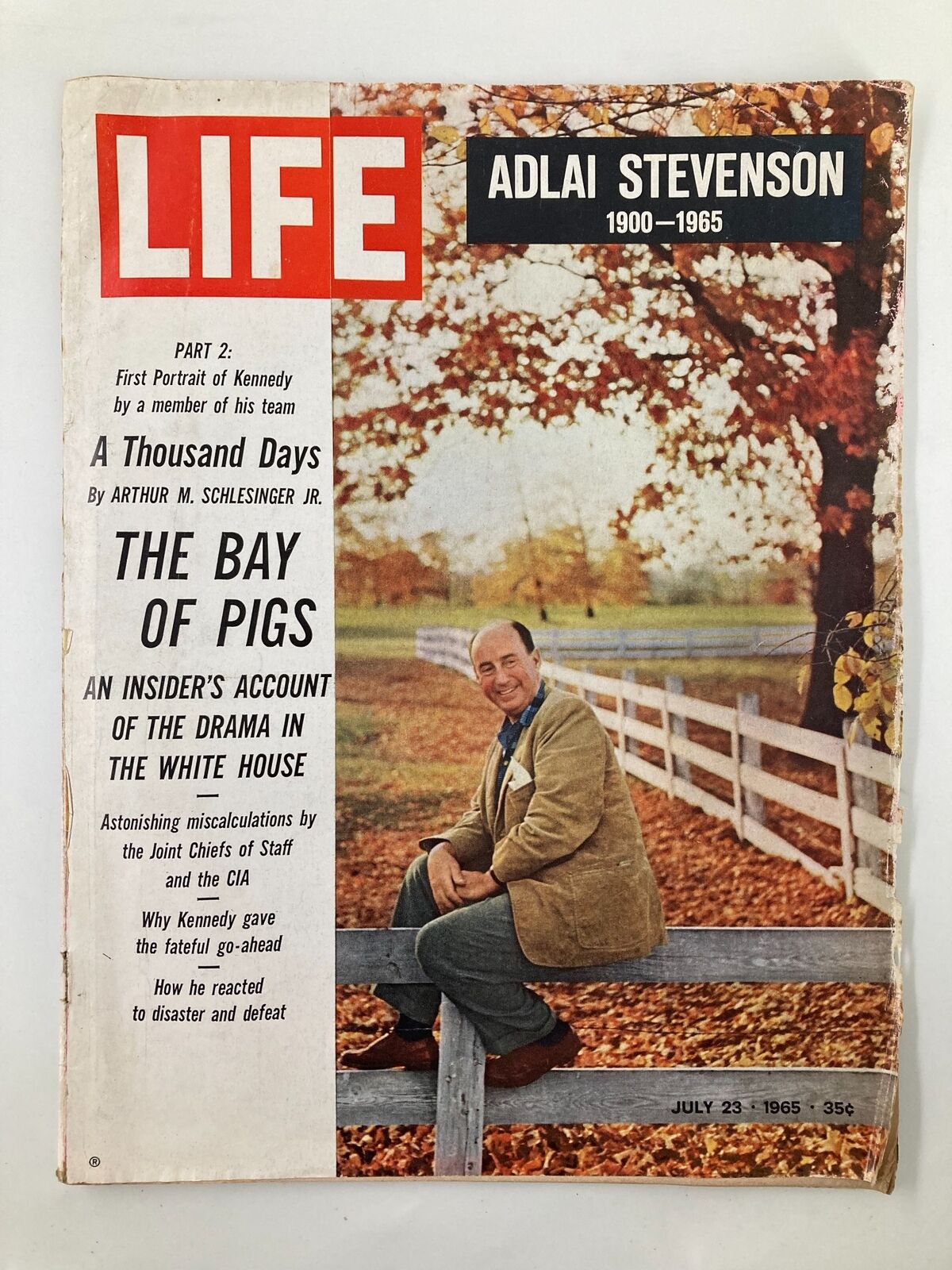 Cover of VTG Life Magazine July 23 1965 featuring Adlai Stevenson, a prominent political figure, sitting on a fence surrounded by autumn foliage.