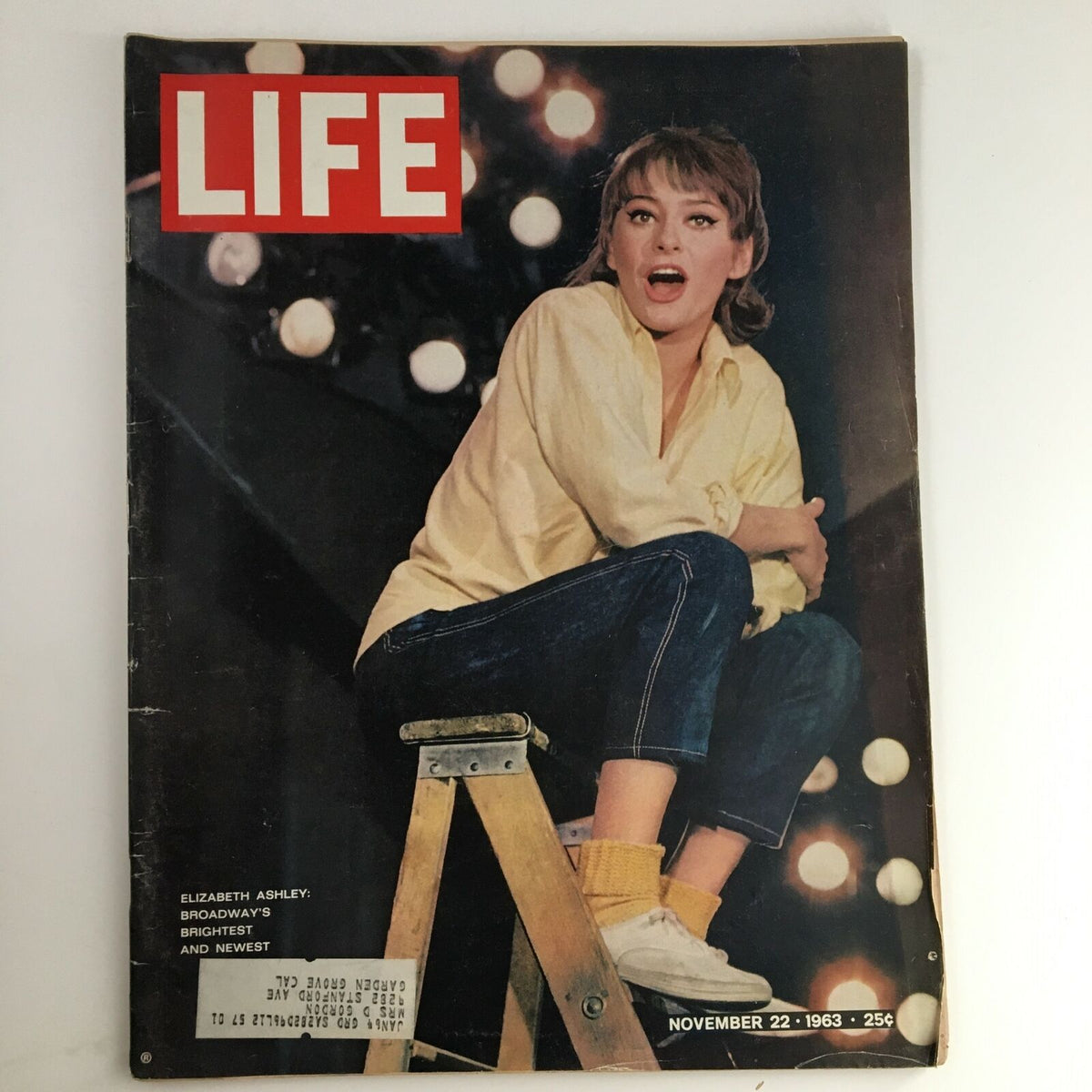 Life Magazine cover from November 22, 1963, featuring actress Elizabeth Ashley, labeled as Broadway's brightest. The cover showcases Ashley sitting on a wooden ladder among bright stage lights, embodying the vibrant 1960s theatrical spirit.