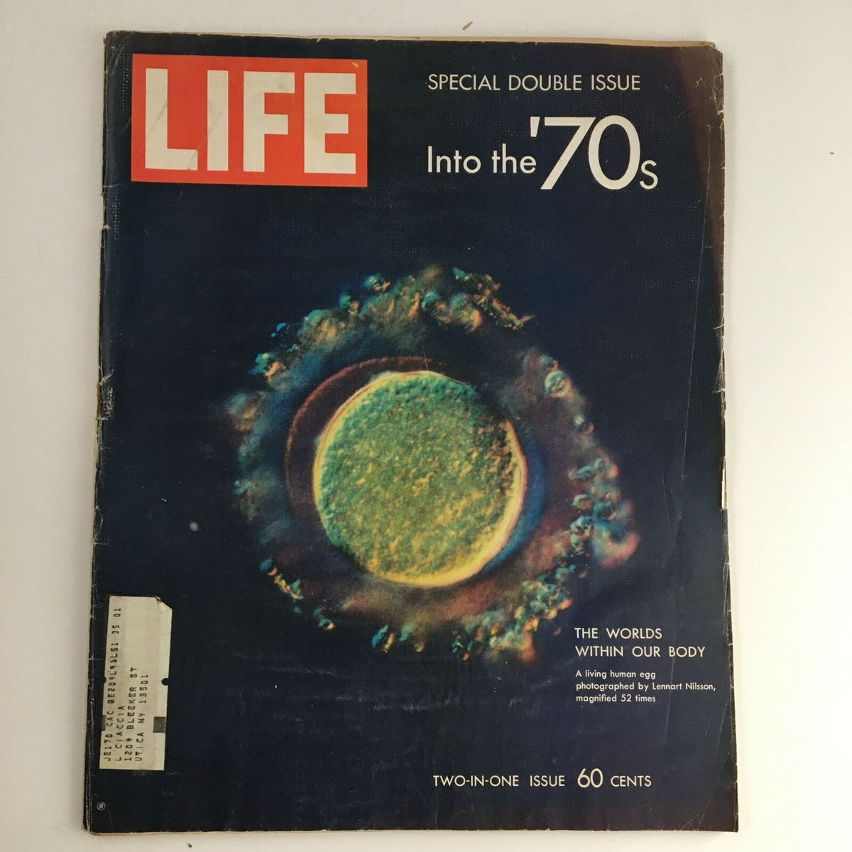 Cover of Life Magazine 1970 featuring 'The World's Within Our Body: A Living Human Egg Photographed', showcasing a colorful image of a human egg magnified 52 times.
