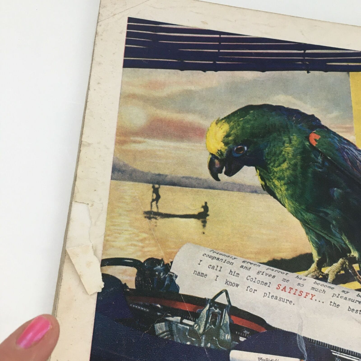 Close-up of the Chesterfield cigarette advertisement on the back cover of Time Magazine September 20, 1937, featuring a parrot and scenic background.