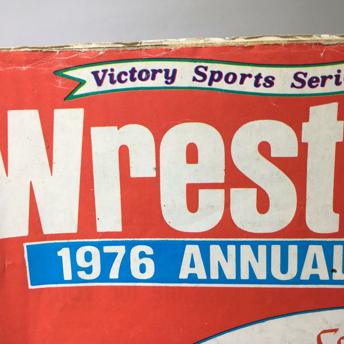 Top section of the front cover of Wrestling 1976 Annual #17 - What the Stars Have in Store for the Stars, highlighting the title with its retro design.