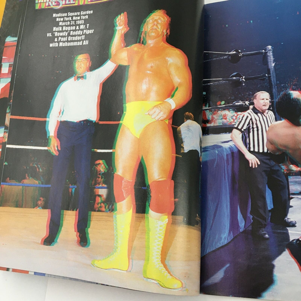Illustration from WWE Present 2004 Wrestle Mania magazine showing Hulk Hogan celebrating in the ring, highlighting a memorable wrestling moment.