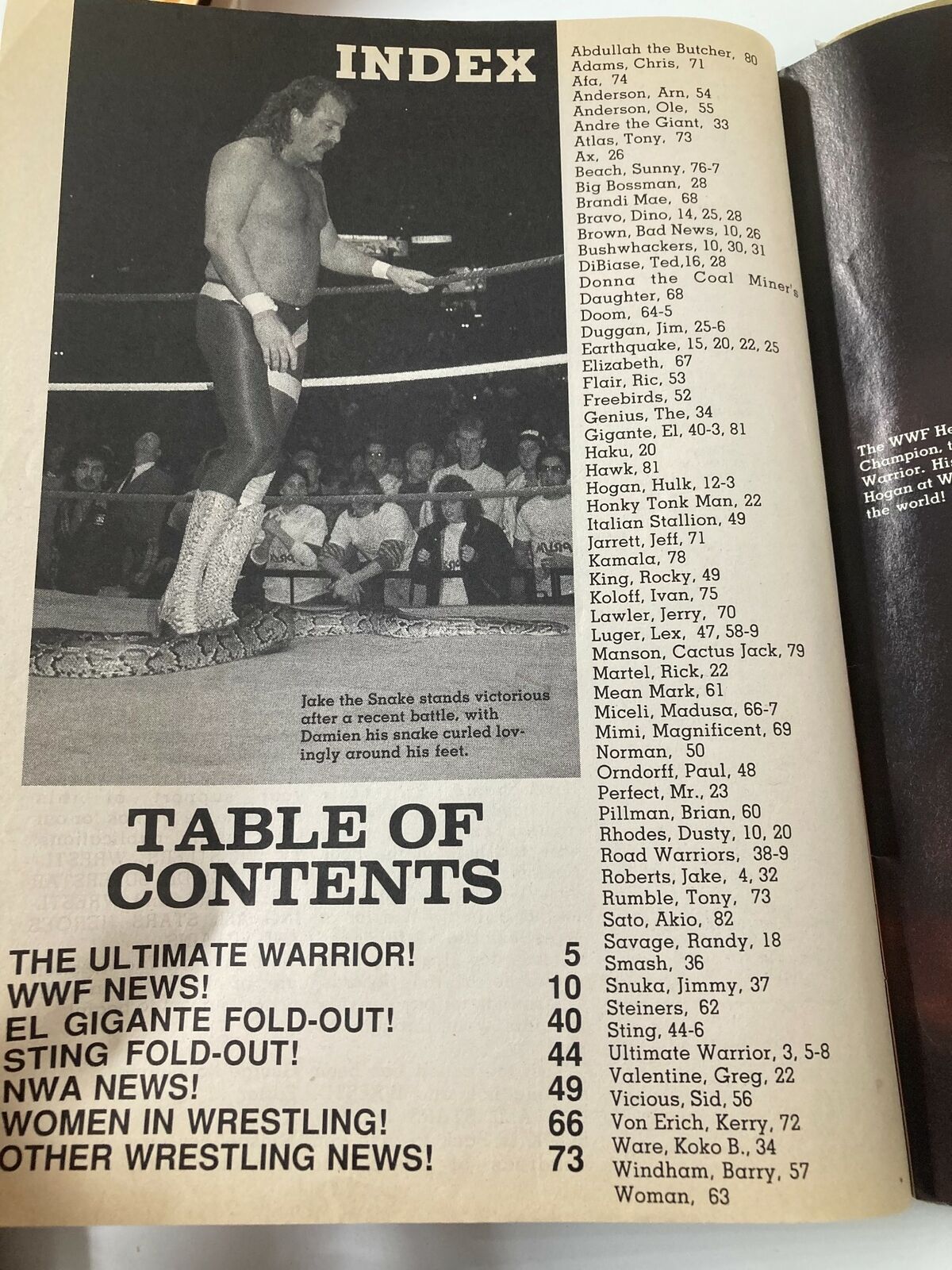 Index page from Wrestling All Stars Scrapbook 1990 #10 listing notable wrestlers and content, showcasing the rich history of professional wrestling.